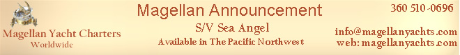 Sea Angel Banner