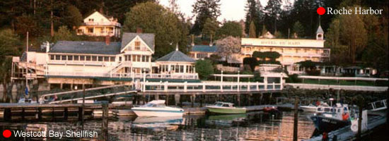 Roche Harbor